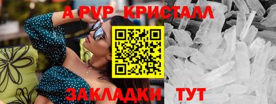 шишки Дубна